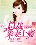 獨寵新歡:總裁染妻上癮